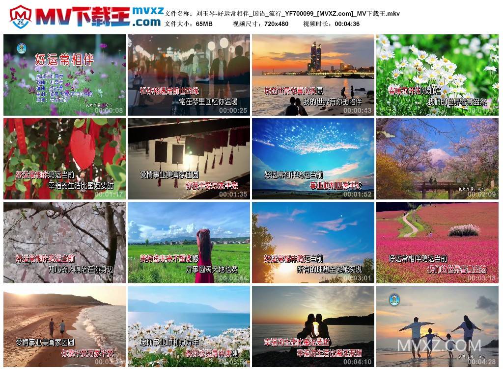 刘玉琴-好运常相伴_国语_流行_YF700099